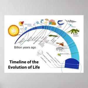 a short history of nearly everything
